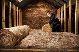 Best Eco-Friendly or Green Insulation Solutions  in South Gate Ridge, FL