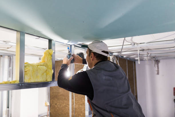 Best Basement Insulation  in South Gate Ridge, FL