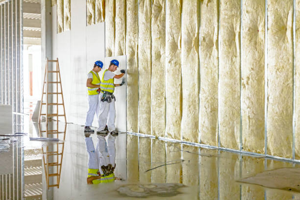 Best Spray Foam Insulation  in South Gate Ridge, FL